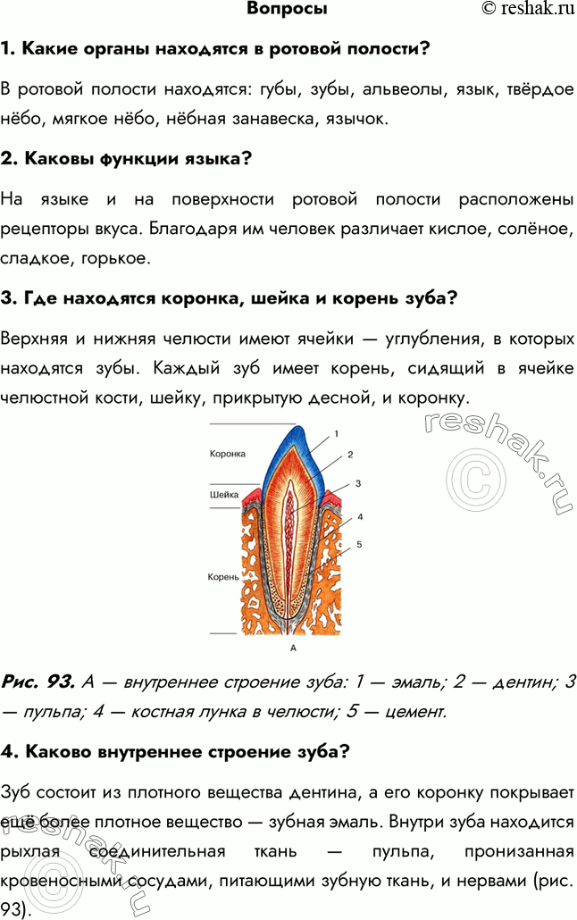 Дополнительное изображение