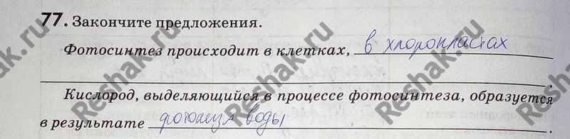 Изображение 77. Как вы думаете, можно ли считать, что все клетки зелёного растения питаются автотрофно? Ответ...