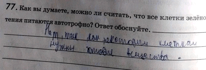 Изображение 77. Как вы думаете, можно ли считать, что все клетки зелёного растения питаются автотрофно? Ответ...