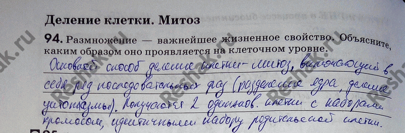 Изображение 94. Размножение — важнейшее жизненное свойство. Объясните, каким образом оно проявляется на клеточном уровне....